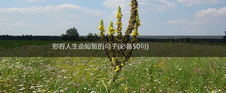 形容人生命短暂的句子(必备50句),第1张