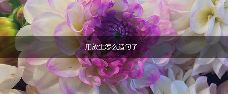 用放生怎么造句子,第1张