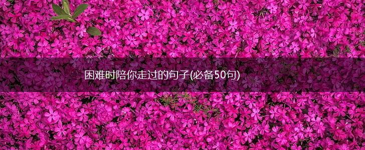 困难时陪你走过的句子(必备50句),第1张