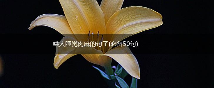 哄人睡觉肉麻的句子(必备50句),第1张