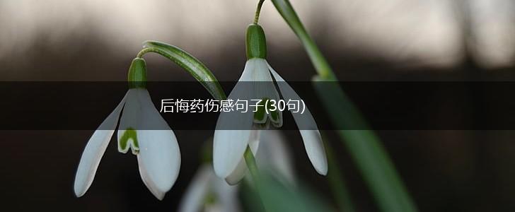 后悔药伤感句子(30句),第1张