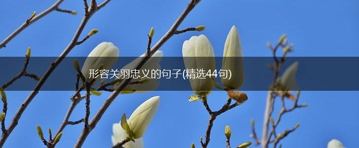 形容关羽忠义的句子(精选44句),第1张