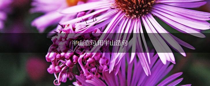 半山造句,用半山造句,第1张