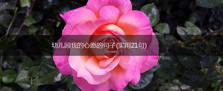 幼儿园我的心愿的句子(实用21句),第1张