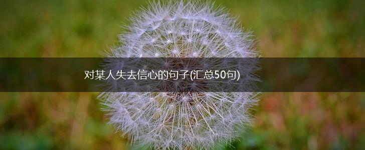 对某人失去信心的句子(汇总50句),第1张