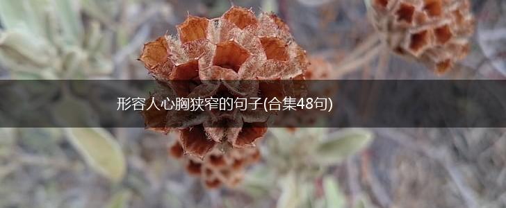形容人心胸狭窄的句子(合集48句),第1张