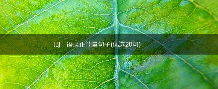 周一语录正能量句子(优选20句),第1张