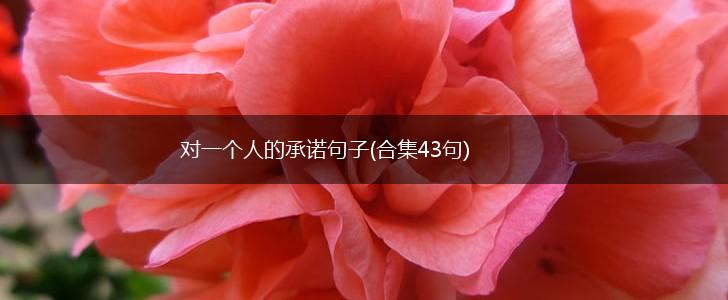 对一个人的承诺句子(合集43句),第1张