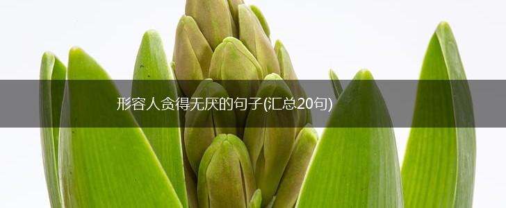 形容人贪得无厌的句子(汇总20句),第1张
