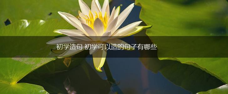 初学造句 初学可以造的句子有哪些,第1张