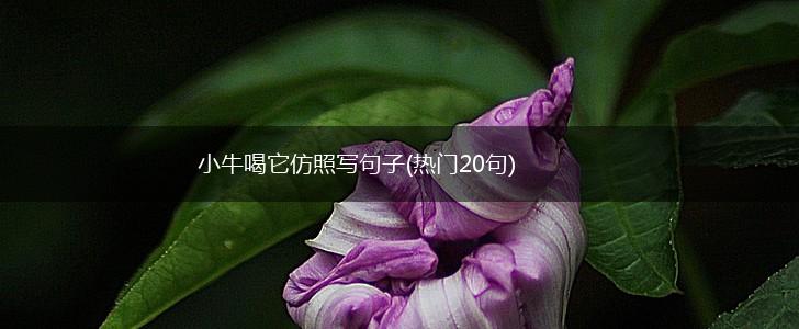 小牛喝它仿照写句子(热门20句),第1张
