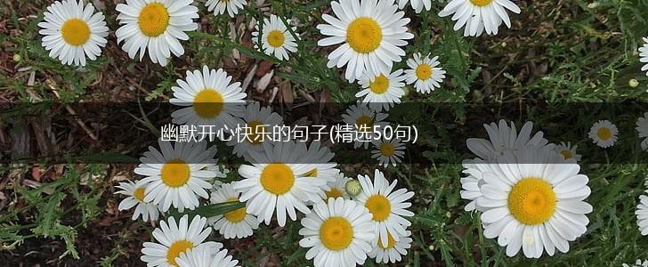 幽默开心快乐的句子(精选50句),第1张