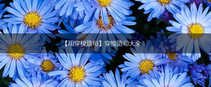 【用穿梭造句】穿梭造句大全,第1张
