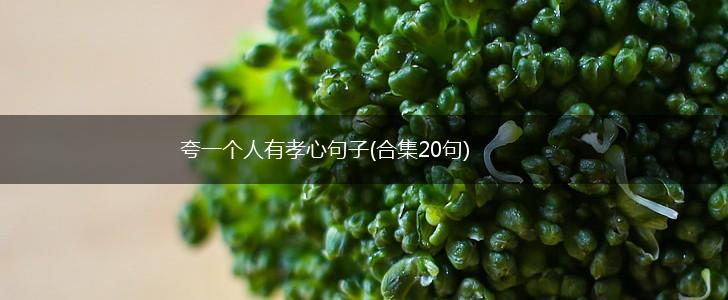 夸一个人有孝心句子(合集20句),第1张