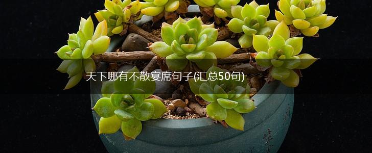 天下哪有不散宴席句子(汇总50句),第1张