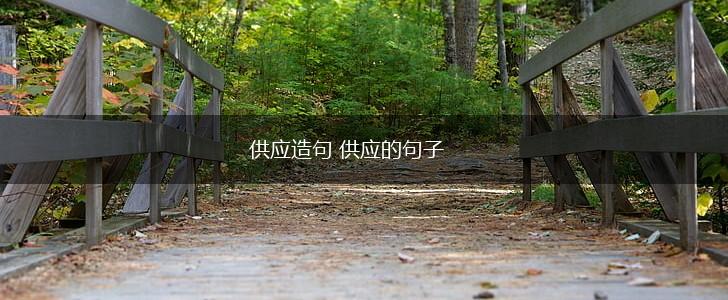 供应造句 供应的句子,第1张