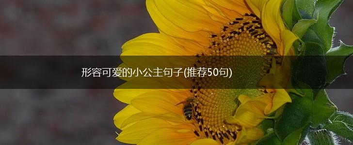形容可爱的小公主句子(推荐50句),第1张