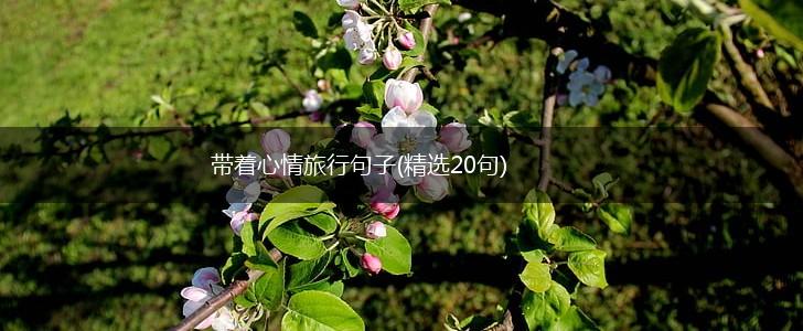 带着心情旅行句子(精选20句),第1张