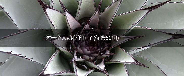 对一个人动心的句子(优选50句),第1张
