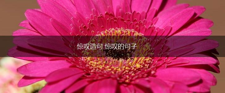 惊叹造句 惊叹的句子,第1张