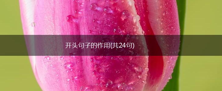 开头句子的作用(共24句),第1张