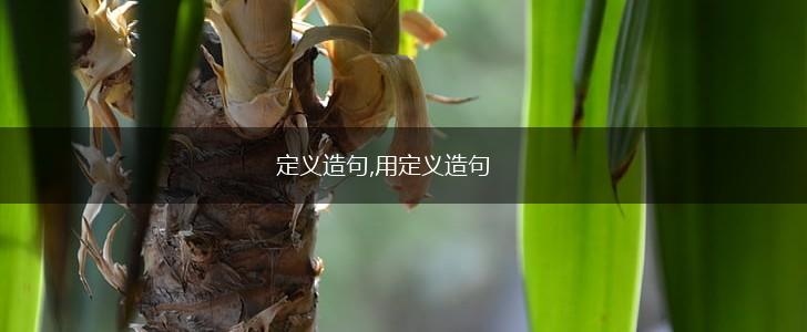 定义造句,用定义造句,第1张