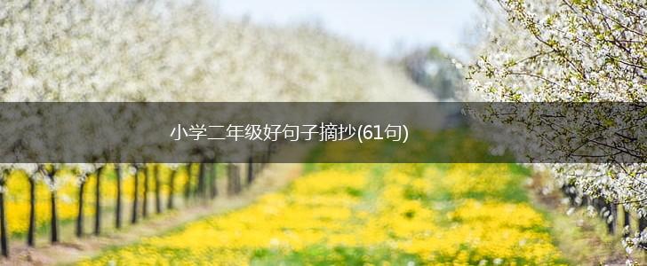 小学二年级好句子摘抄(61句),第1张