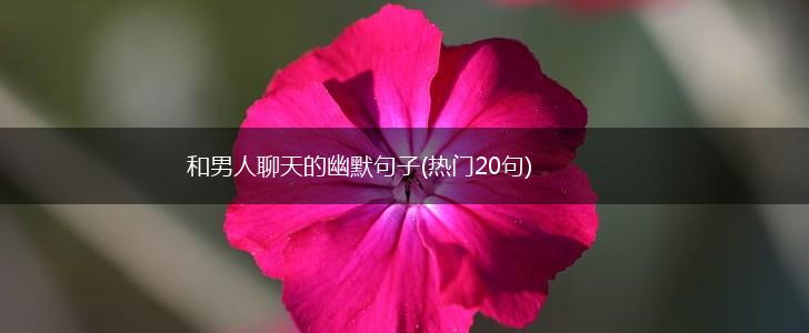 和男人聊天的幽默句子(热门20句),第1张