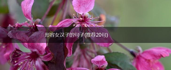 形容女汉子的句子(推荐20句),第1张