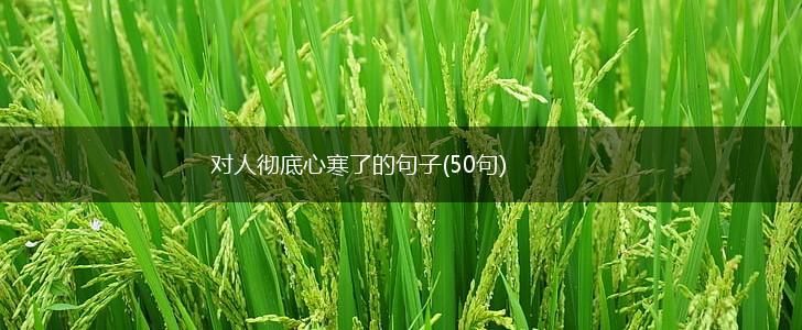 对人彻底心寒了的句子(50句),第1张