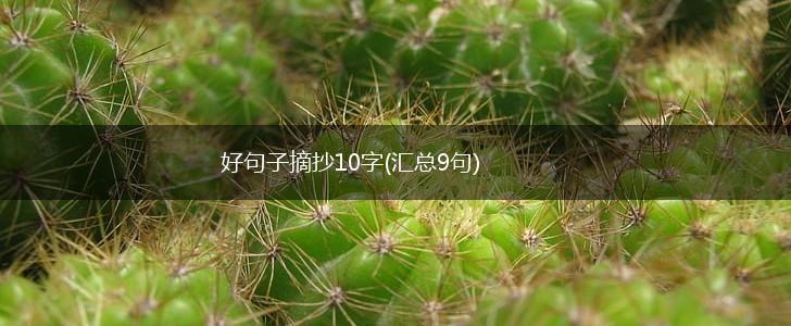 好句子摘抄10字(汇总9句),第1张