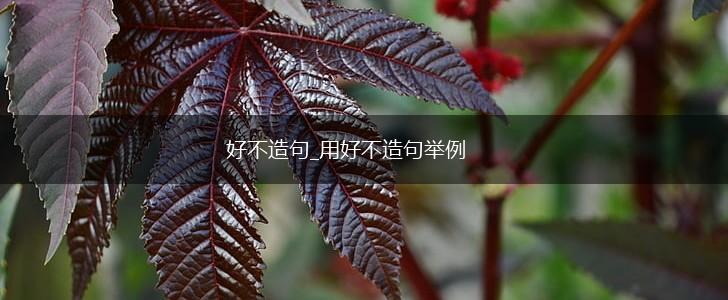 好不造句_用好不造句举例,第1张