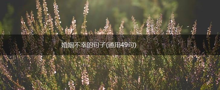 婚姻不幸的句子(通用49句),第1张