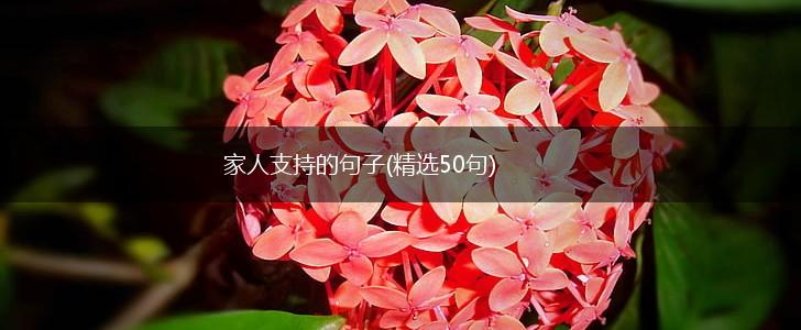 家人支持的句子(精选50句),第1张