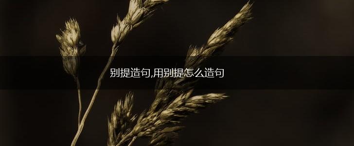 别提造句,用别提怎么造句,第1张