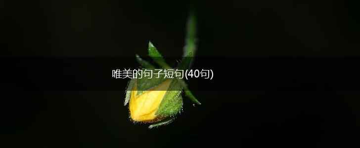 唯美的句子短句(40句),第1张