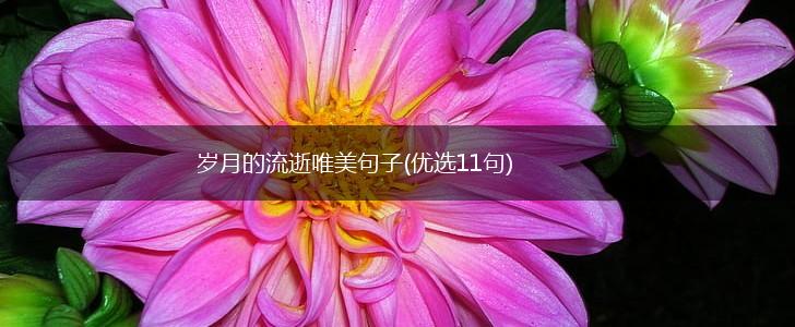 岁月的流逝唯美句子(优选11句),第1张
