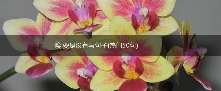 唉 要是没有写句子(热门50句),第1张