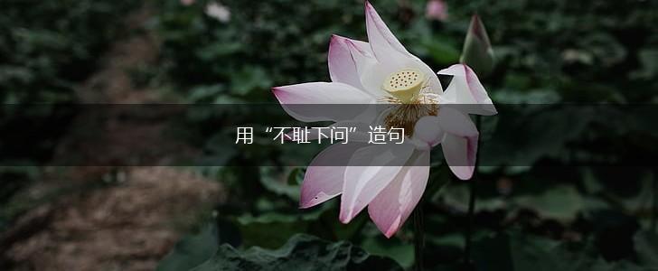 用“不耻下问”造句,第1张