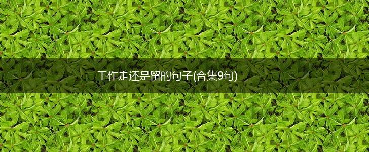 工作走还是留的句子(合集9句),第1张