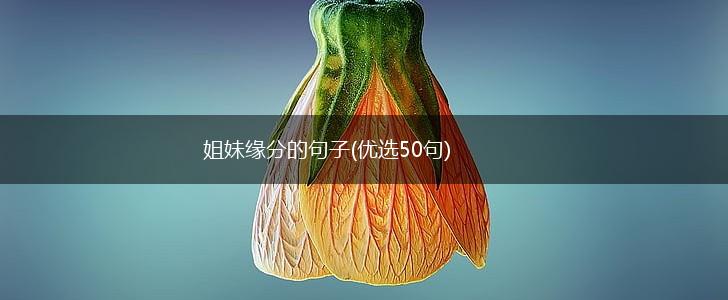 姐妹缘分的句子(优选50句),第1张