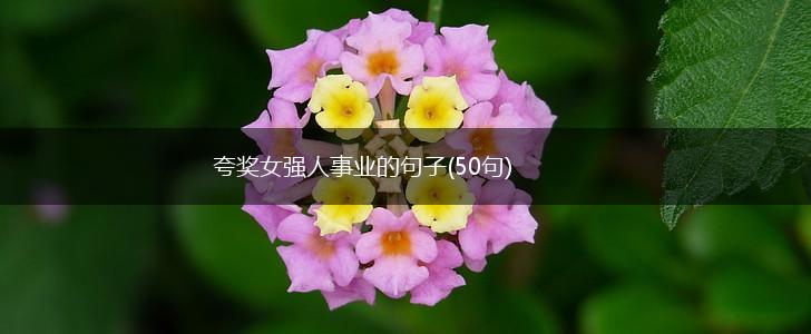 夸奖女强人事业的句子(50句),第1张