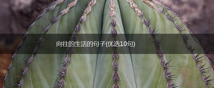 向往的生活的句子(优选10句),第1张