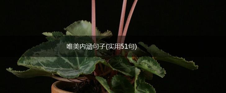 唯美内涵句子(实用51句),第1张