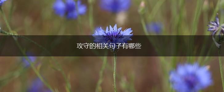 攻守的相关句子有哪些,第1张
