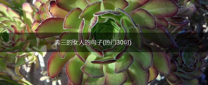 奔三的女人的句子(热门30句),第1张