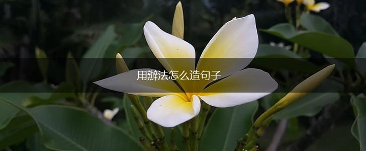 用辦法怎么造句子,第1张