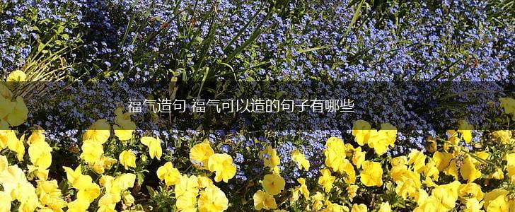 福气造句 福气可以造的句子有哪些,第1张