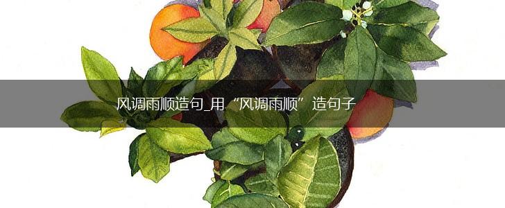 风调雨顺造句_用“风调雨顺”造句子,第1张
