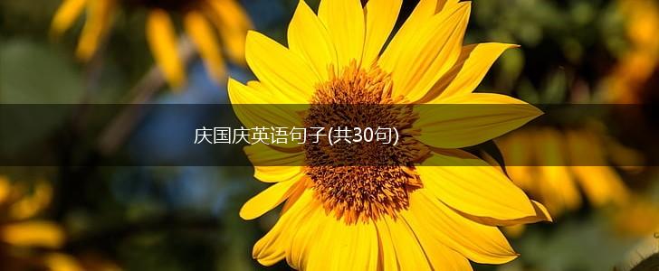 庆国庆英语句子(共30句),第1张